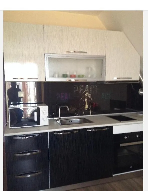 Dimitrov Apartments 布尔加斯