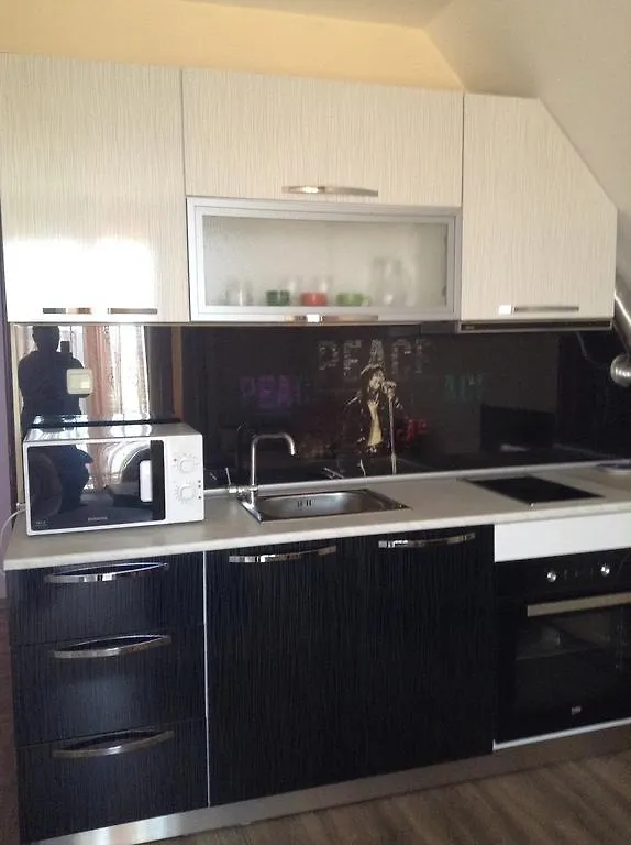 Dimitrov Apartments 布尔加斯